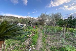 Casa Indipendente Barcellona Pozzo di Gotto