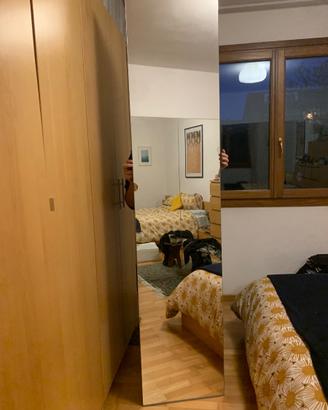 Ante armadio pax Ikea betulla