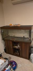 acquario professionale Juwel completo