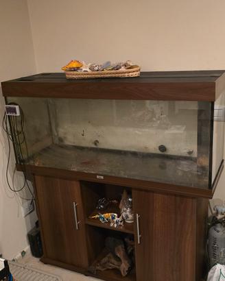 acquario professionale Juwel completo