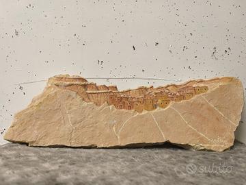 ARTIGIANATO DEL NORD AFRICA