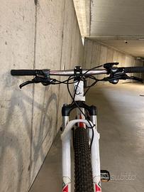 MTB Torpado CLIMB 29 con ruote da 29”