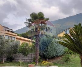 Villa singola - Solopaca