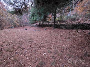 Terreno Agricolo a Omegna