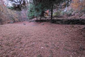 Terreno Agricolo a Omegna