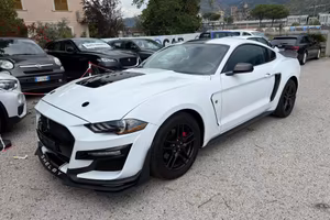 Ford Mustang SHELBY 2.3 EcoBoost 317 cv