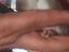 Immagine 3