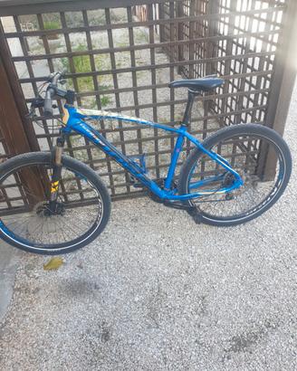 Bici