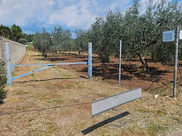 Terreno massafra 7.500 mq
