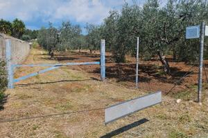Terreno massafra 7.500 mq