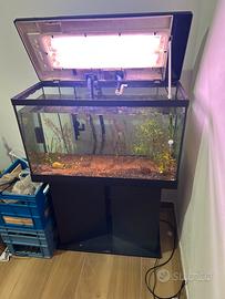 Acquario