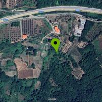 Vigneto abbandonato 9.000 mq con locale deposito