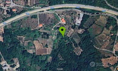 Vigneto abbandonato 9.000 mq con locale deposito