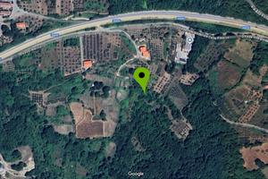 Vigneto abbandonato 9.000 mq con locale deposito