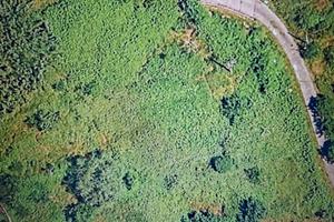 Terreno Valdurasca- comune La Spezia
