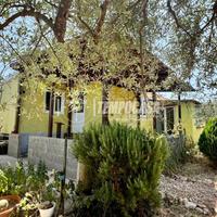 Terreno Con Casetta Li punti