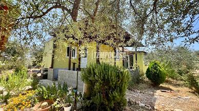 Terreno Con Casetta Li punti