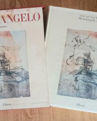 MICHELANGELO ARCHITETTO