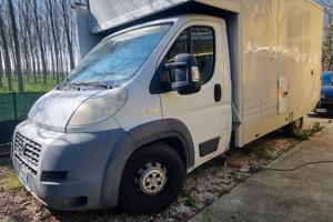 Fiat ducato maxi 