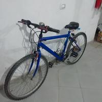 mountain bike usata