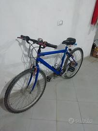 mountain bike usata