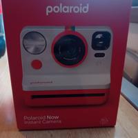 polaroid rossa