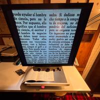 Visore per ipovedenti