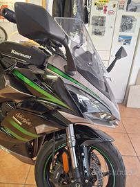 kavasaki 1000 sx