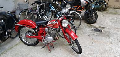 Benelli Leoncino 125 2t 1951