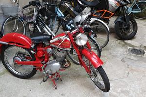 Benelli Leoncino 125 2t 1951