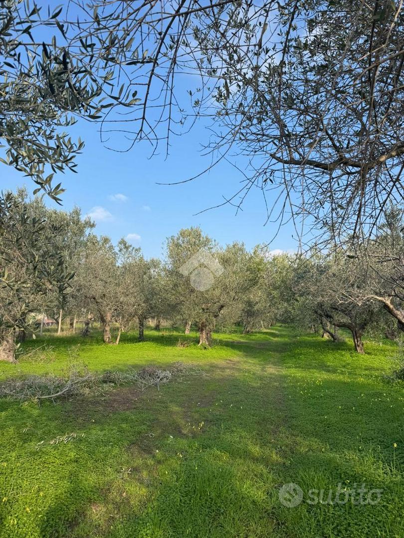 TER. AGRICOLO A SESSA AURUNCA - Vista 2