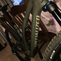 Bicicletta MTB Specialized stumpjumper FSR