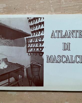 ATLANTE DI MASCALCIA 1991