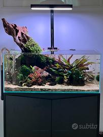 Acquario maturo da 110L