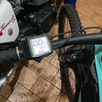 Bianchi eomnia