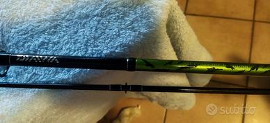 canna da pesca daiwa