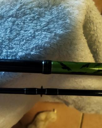 canna da pesca daiwa