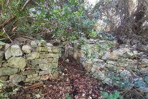 Terreno Agricolo Ugento [65monteconomiVCG] (Torre