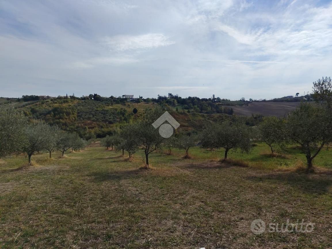 TER. AGRICOLO A VERUCCHIO - Vista 2