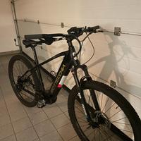 E-Bike Bottecchia
