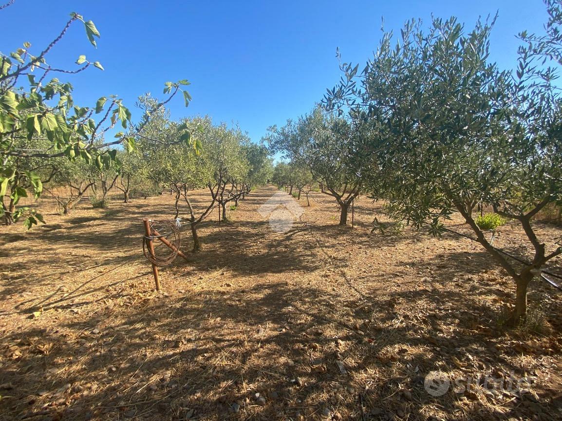 TER. AGRICOLO A CAPOTERRA - Vista 4
