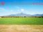 Immagine 29