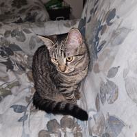 2 fratellini maschio e femmina 6 mesi