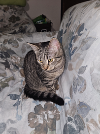 2 fratellini maschio e femmina 6 mesi