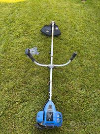 Decespugliatore a motore Einhell bg bc 36 s