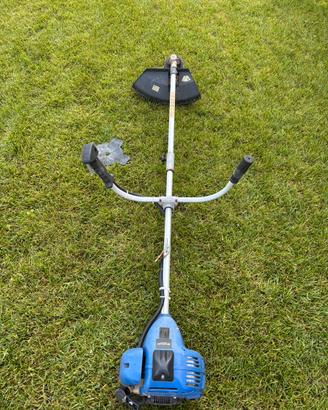 Decespugliatore a motore Einhell bg bc 36 s