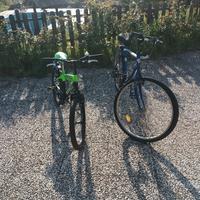 due bici 