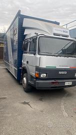 Iveco 115/17
