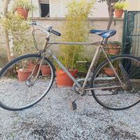 Bicicletta Bottecchia Uomo