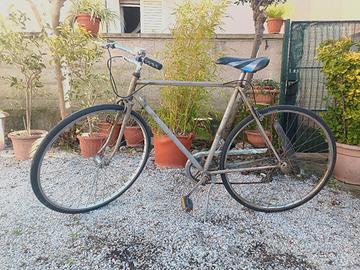 Bicicletta Bottecchia Uomo